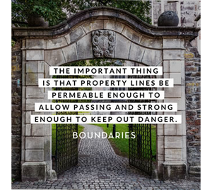 Boundaries Let the Good in and Keep the Bad Out